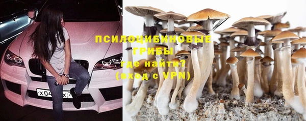 прущий лед Армянск